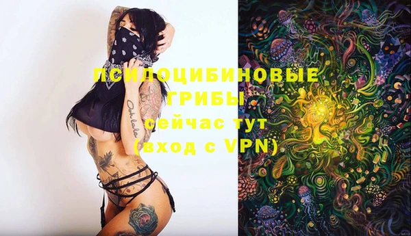 гидропоника Алексеевка