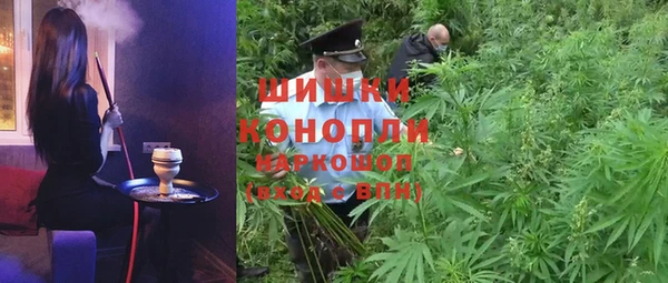 ПСИЛОЦИБИНОВЫЕ ГРИБЫ Абдулино